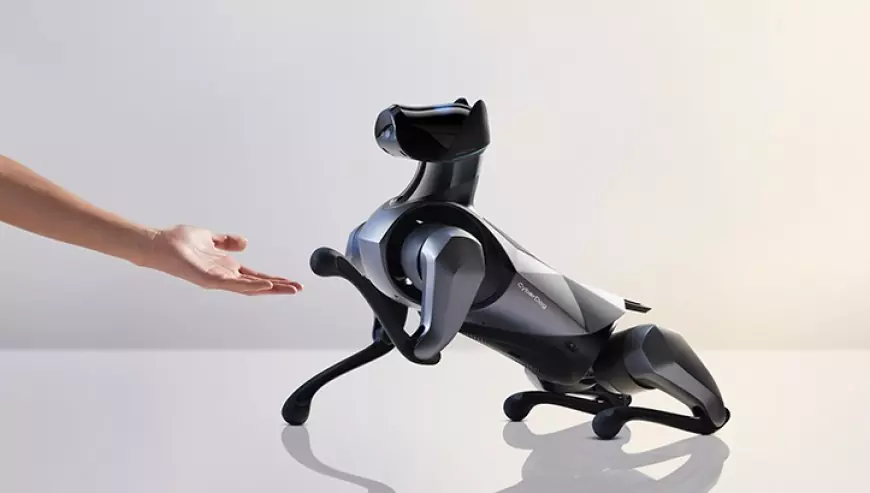 Xiaomi CyberDog 2 - a robopet with 19 sensors and a hub for smart home